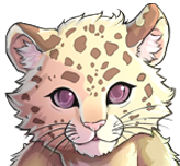 Baby Striker 2D Standard Commander