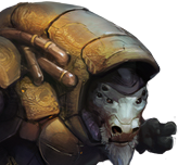 Bortis 2D Standard Commander - MoO