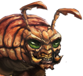 Fusca 2D Standard Commander - MoO