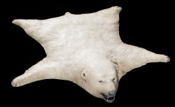 Garage Gear Polar Bear Rug - Resized