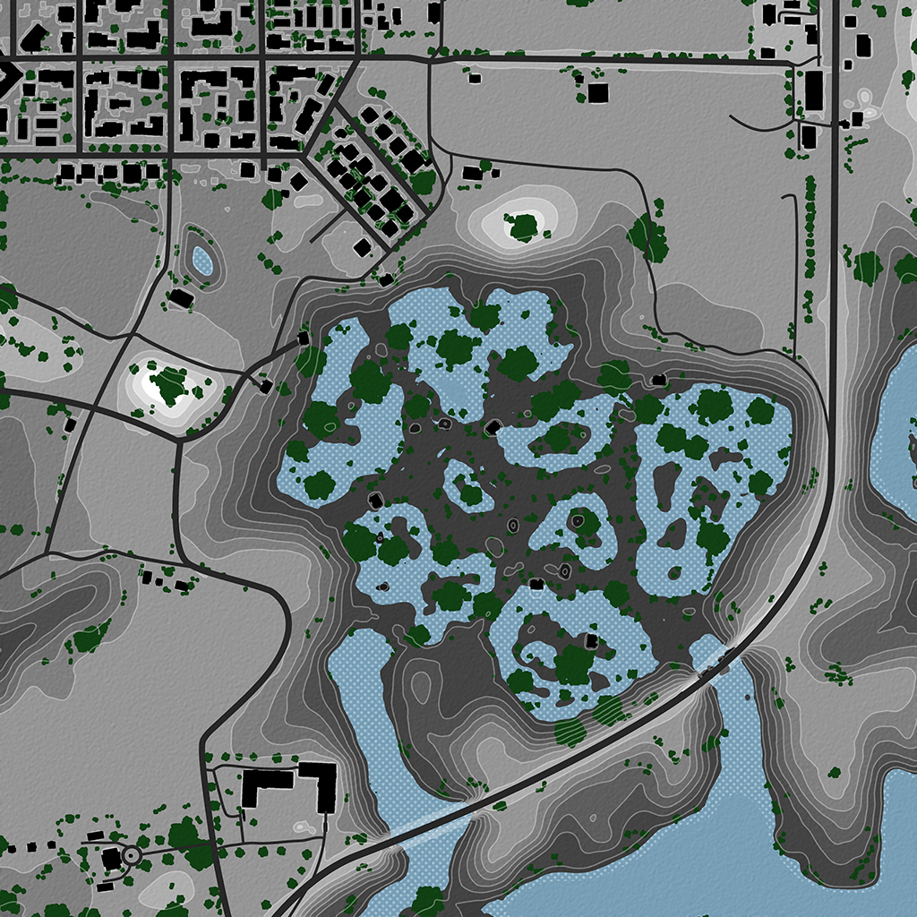 Live Oaks - Overhead Map No Labels