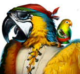 Perry the Parrot 2D Commander