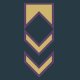 Regiments - Executive Officer Icon