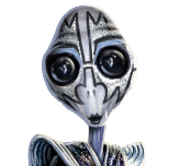 Steven KISS Fan 2D Standard Commander