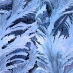 Winter Leaves Camo Resized