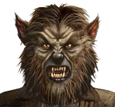 Wolfman 2D Standard Commander