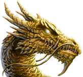 Yinglong 2D Standard Commander