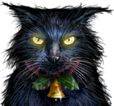 Yule Cat 2D Standard Commander