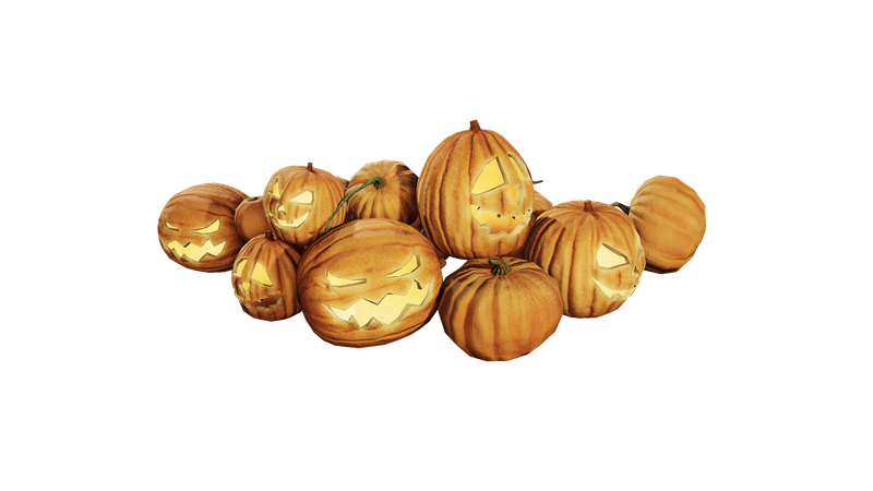 pumpkin patch 3 Forge005 1