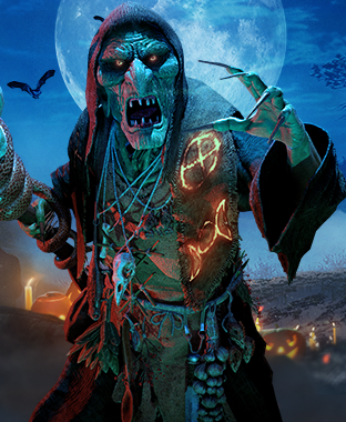 store_halloween_witch